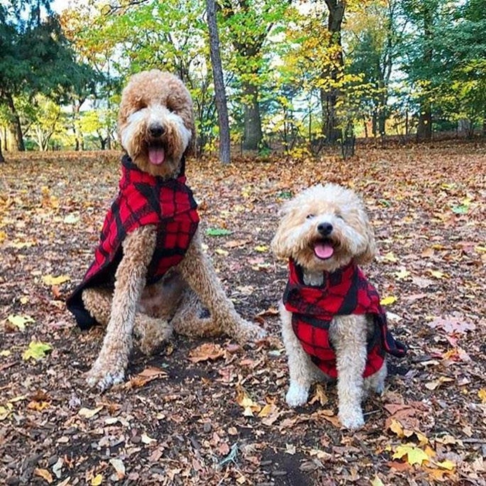 SOLD OUT fabdog Plaid Bouclé Dog Coat in Red/Black - Xtra Large